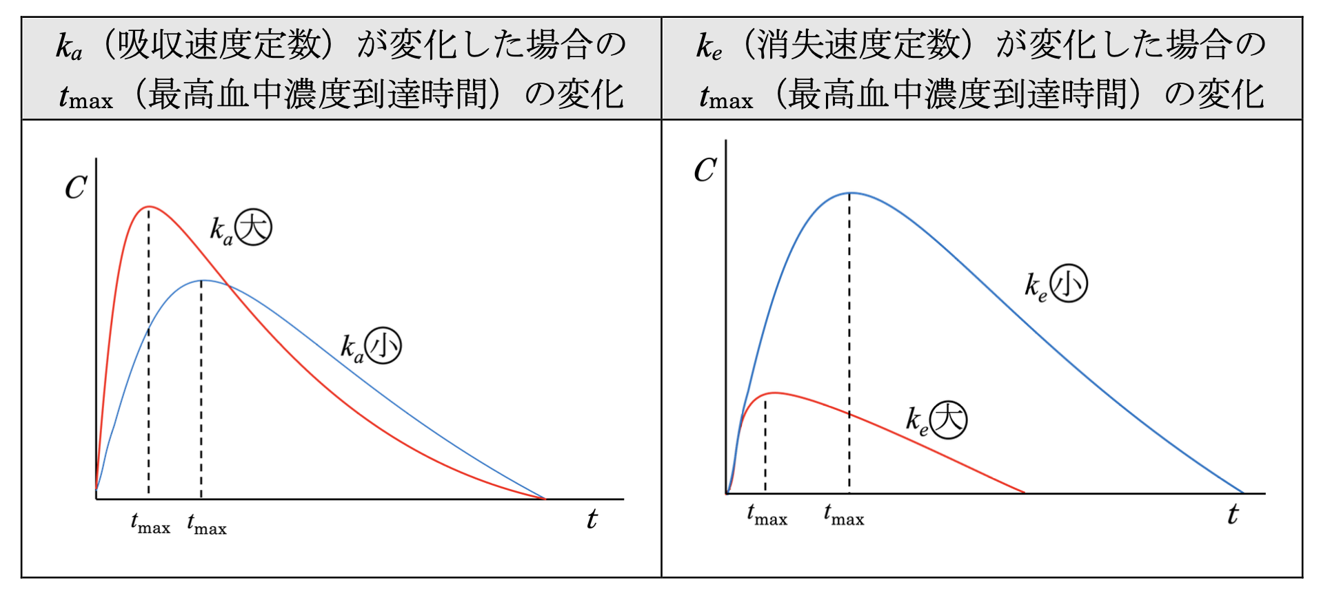解説画像